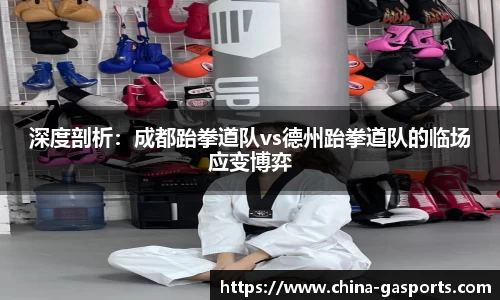 GA黄金甲体育官方网站
