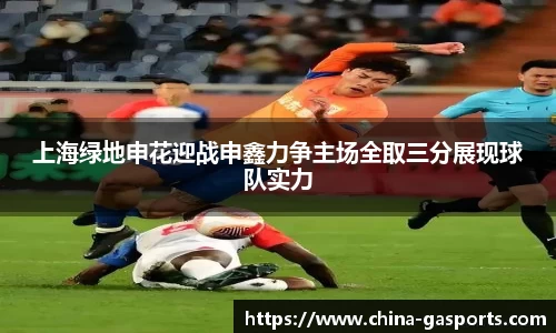 上海绿地申花迎战申鑫力争主场全取三分展现球队实力